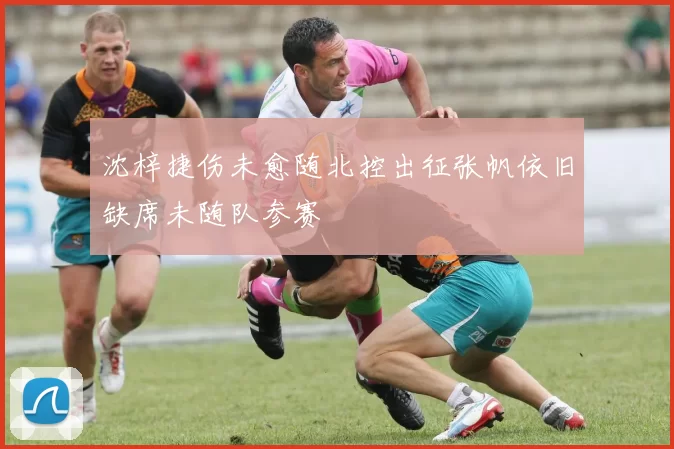 沈梓捷伤未愈随北控出征张帆依旧缺席未随队参赛